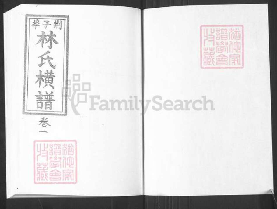 山东省烟台市栖霞市桃村镇林氏族谱-荆子端口林氏横谱.pdf电子版预览图1