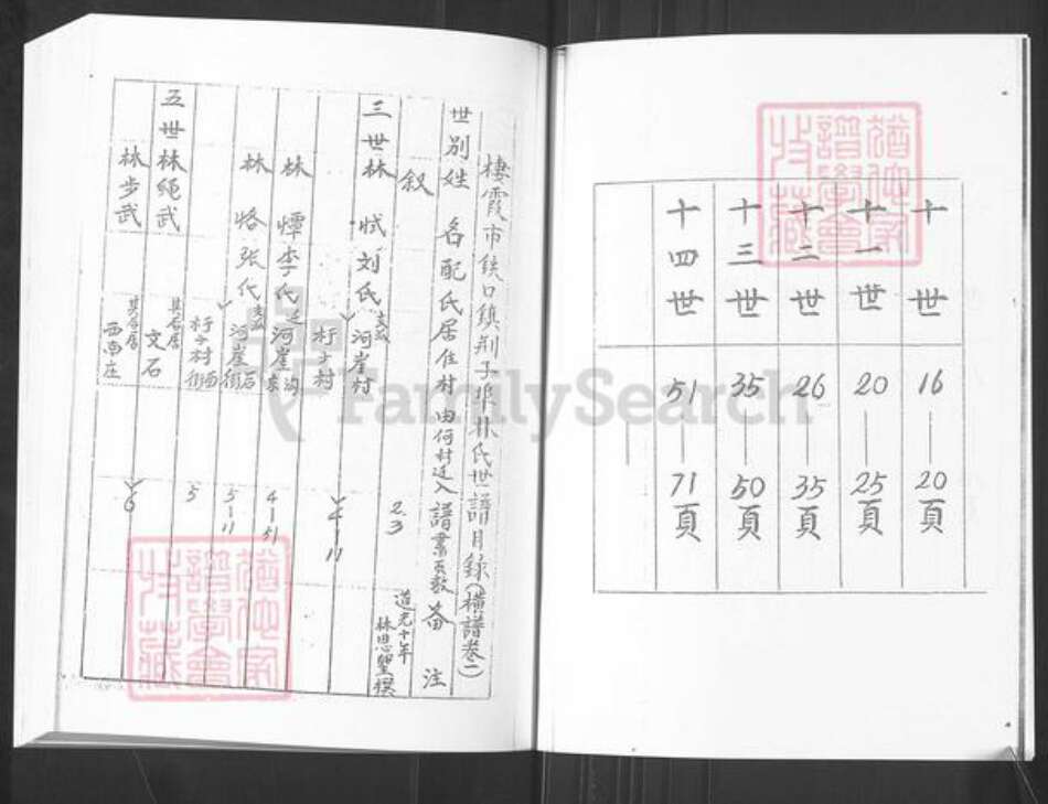 山东省烟台市栖霞市桃村镇林氏族谱-荆子端口林氏横谱.pdf电子版预览图3