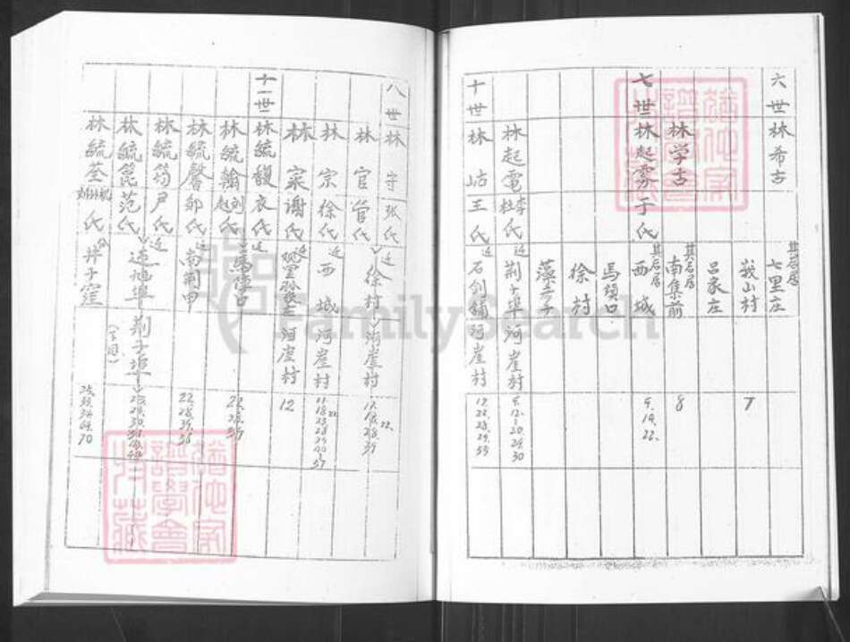 山东省烟台市栖霞市桃村镇林氏族谱-荆子端口林氏横谱.pdf电子版预览图4