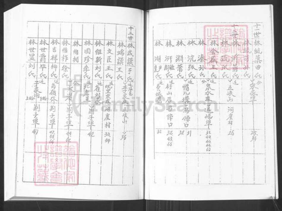 山东省烟台市栖霞市桃村镇林氏族谱-荆子端口林氏横谱.pdf电子版预览图5