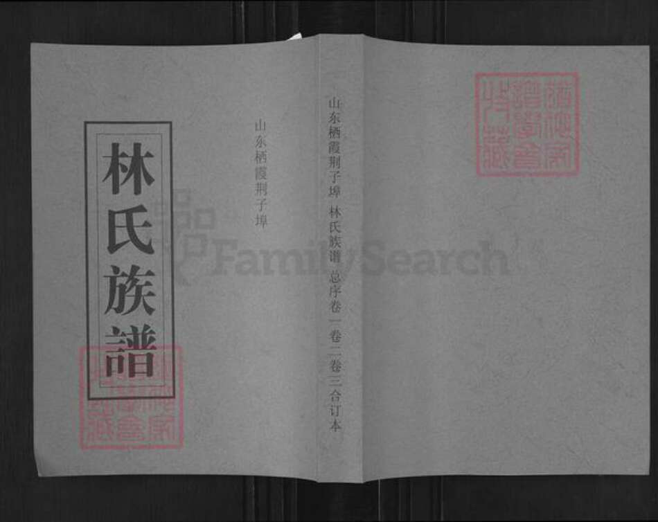 山东省烟台市栖霞市桃村镇林氏族谱-林氏族谱.pdf电子版缩略图