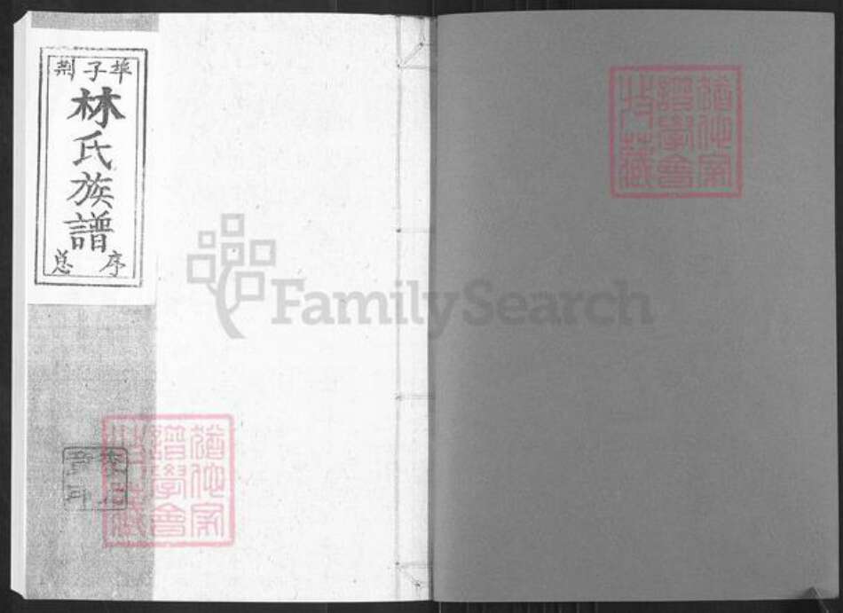 山东省烟台市栖霞市桃村镇林氏族谱-林氏族谱.pdf电子版预览图1