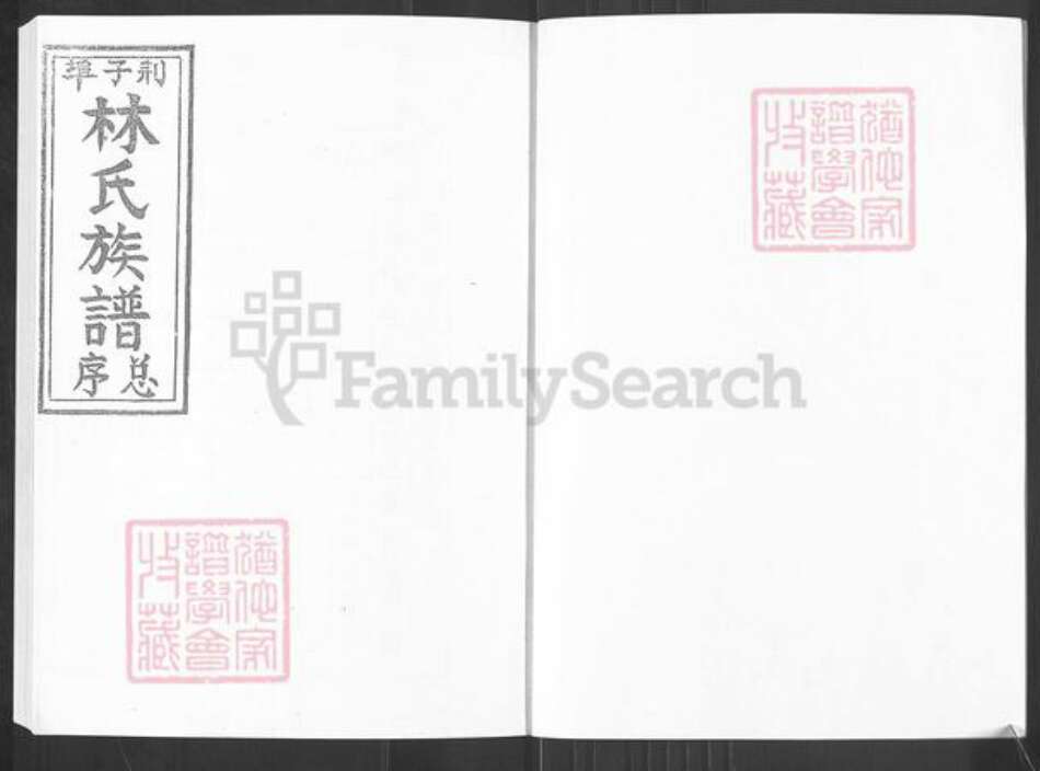 山东省烟台市栖霞市桃村镇林氏族谱-林氏族谱.pdf电子版预览图2