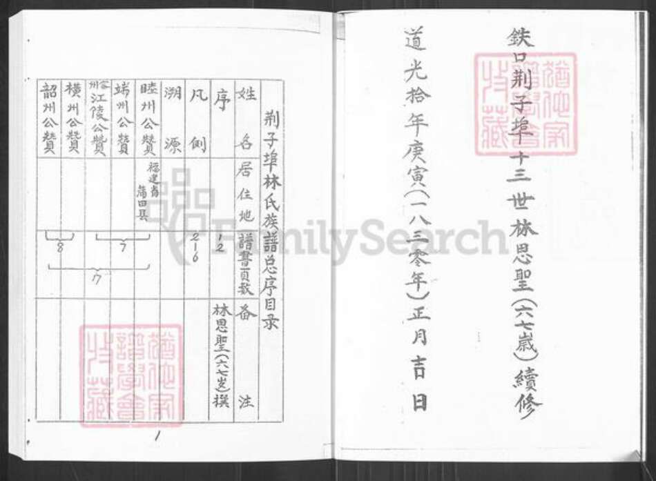 山东省烟台市栖霞市桃村镇林氏族谱-林氏族谱.pdf电子版预览图3