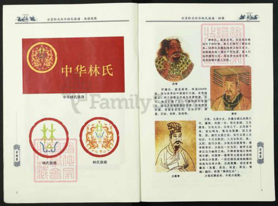 江西省新余市分宜县双林镇林氏世睦堂族谱-江西分宜钤北白水林氏族谱.pdf电子版预览图3