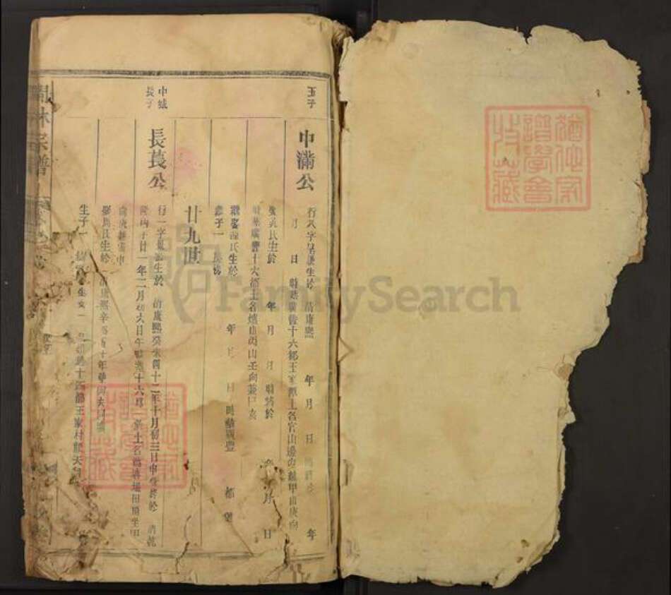 江西省上饶市广丰区林氏九牧堂族谱-闽林宗谱.pdf电子版预览图1