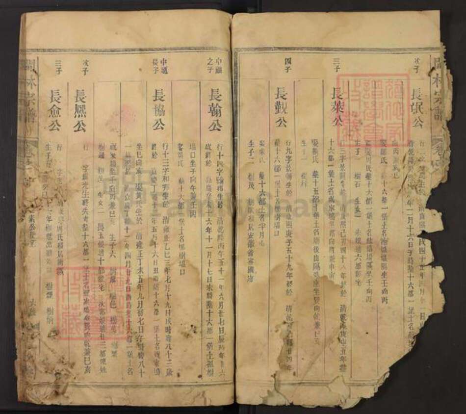 江西省上饶市广丰区林氏九牧堂族谱-闽林宗谱.pdf电子版预览图2