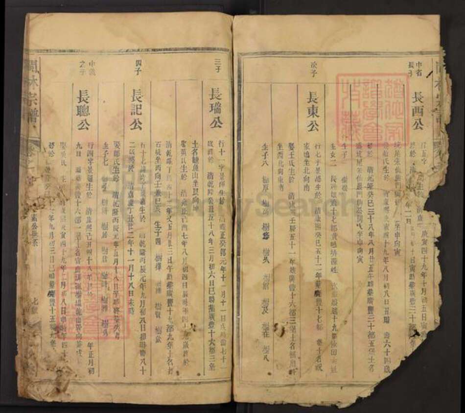 江西省上饶市广丰区林氏九牧堂族谱-闽林宗谱.pdf电子版预览图3