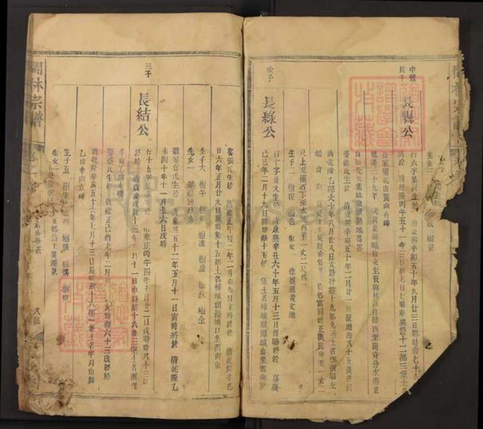 江西省上饶市广丰区林氏九牧堂族谱-闽林宗谱.pdf电子版预览图4