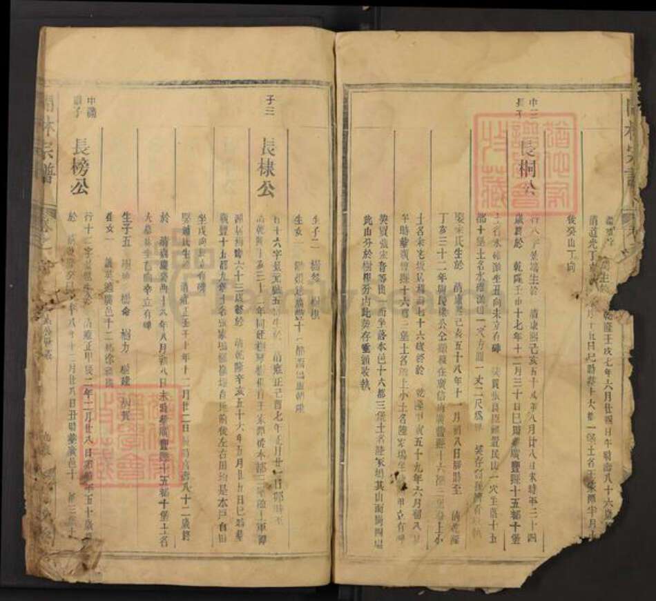 江西省上饶市广丰区林氏九牧堂族谱-闽林宗谱.pdf电子版预览图5