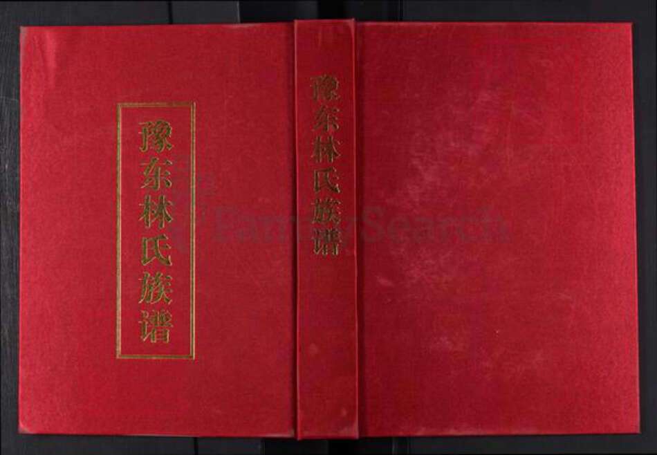 河南省周口市扶沟县林氏族谱-豫东林氏族谱.pdf电子版缩略图