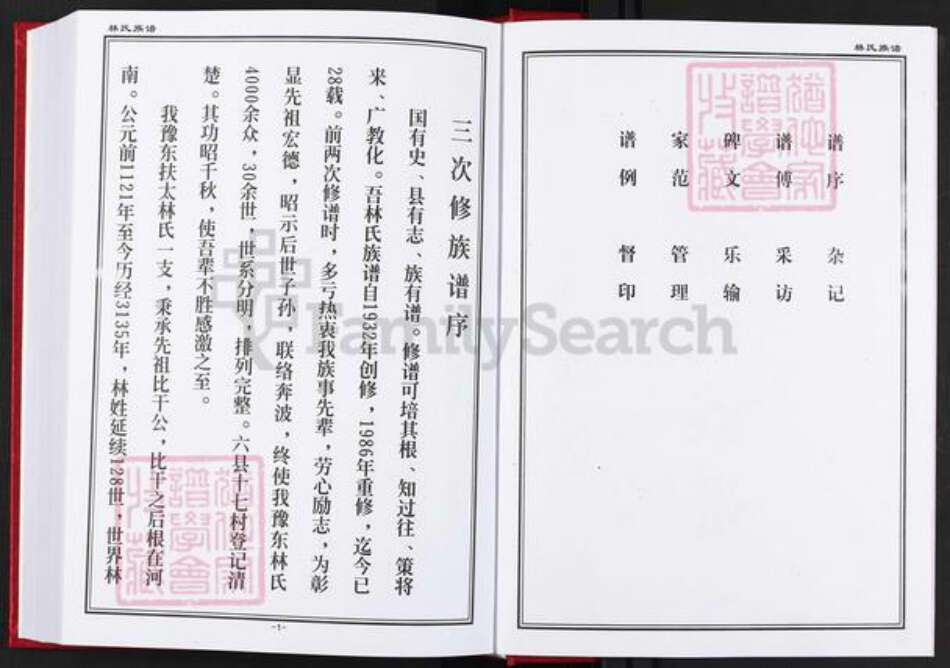 河南省周口市扶沟县林氏族谱-豫东林氏族谱.pdf电子版预览图2