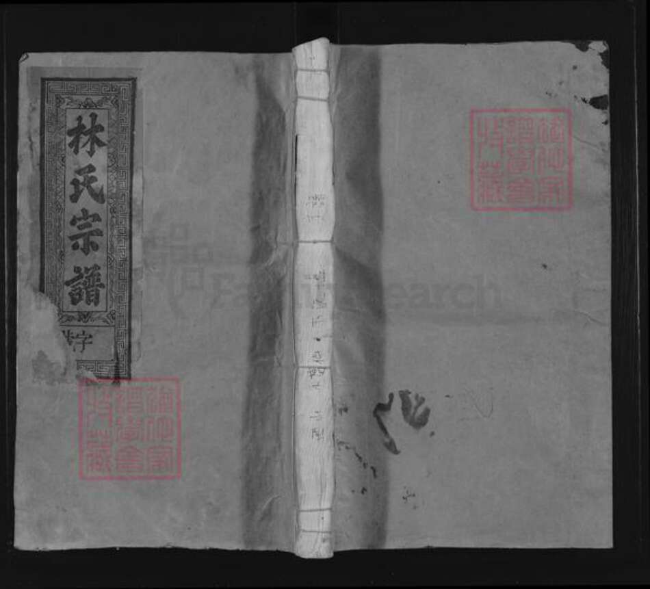 陕西省渭南市大荔县林氏九牧堂族谱-林氏宗谱.pdf电子版缩略图