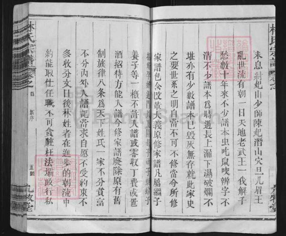 陕西省渭南市大荔县林氏九牧堂族谱-林氏宗谱.pdf电子版预览图5