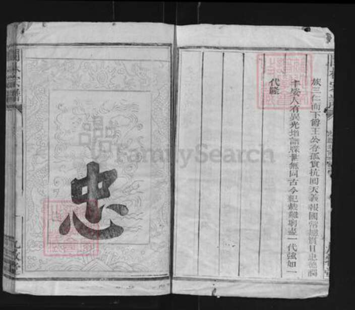 福建省莆田市林氏九牧堂族谱-闽林宗谱.pdf电子版预览图2