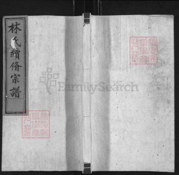 福建省泉州市永春县石鼓镇林氏九牧堂族谱-林氏续修宗谱.pdf电子版缩略图