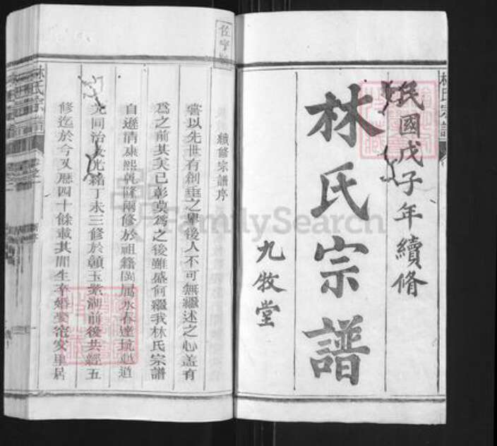 福建省泉州市永春县石鼓镇林氏九牧堂族谱-林氏续修宗谱.pdf电子版预览图1