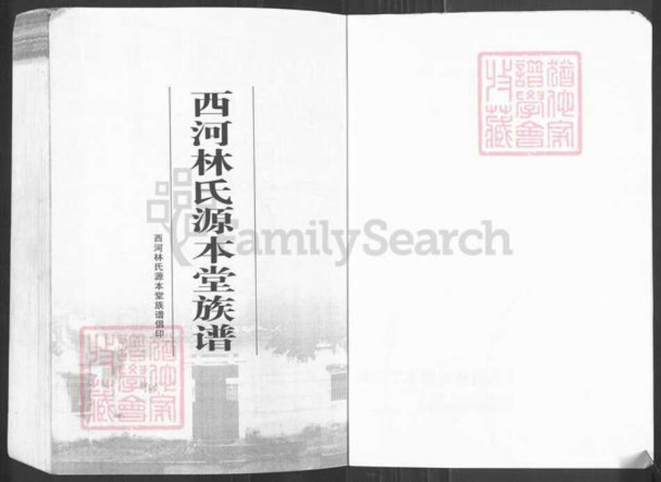 广东省潮州市潮安区龙湖镇林氏源本堂族谱-西河林氏源本堂族谱.pdf电子版预览图1