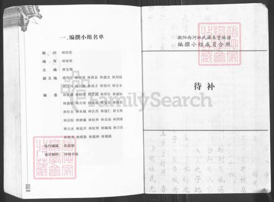 广东省潮州市潮安区龙湖镇林氏源本堂族谱-西河林氏源本堂族谱.pdf电子版预览图3