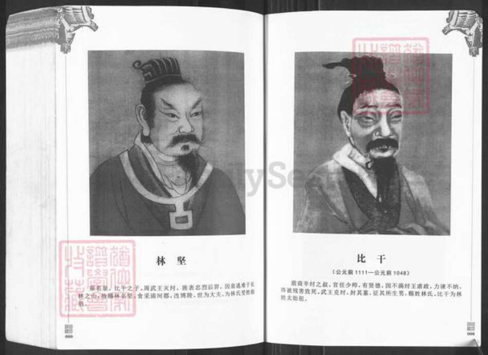 广东省潮州市潮安区龙湖镇林氏源本堂族谱-西河林氏源本堂族谱.pdf电子版预览图5