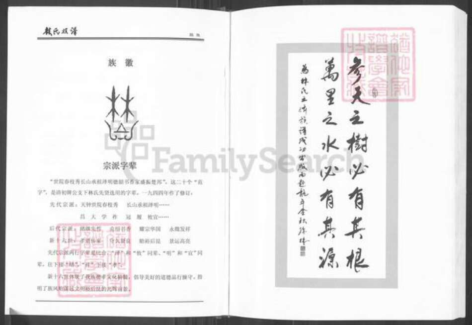 湖南省常德市临澧县安福街道林氏九牧堂族谱-林氏族谱.pdf电子版预览图2