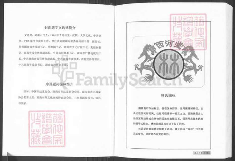 湖南省常德市临澧县安福街道林氏九牧堂族谱-林氏族谱.pdf电子版预览图3