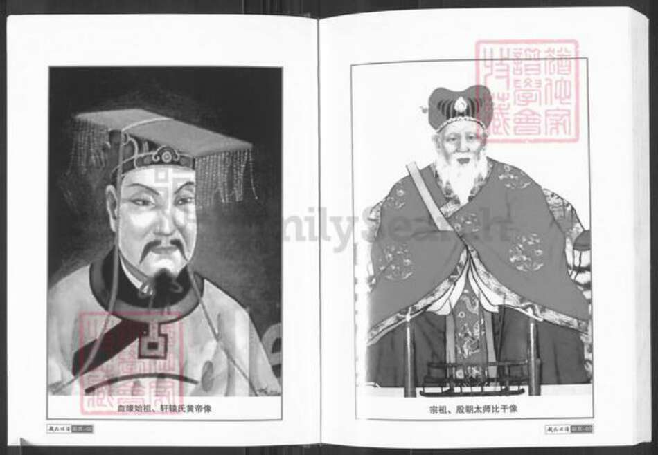 湖南省常德市临澧县安福街道林氏九牧堂族谱-林氏族谱.pdf电子版预览图4