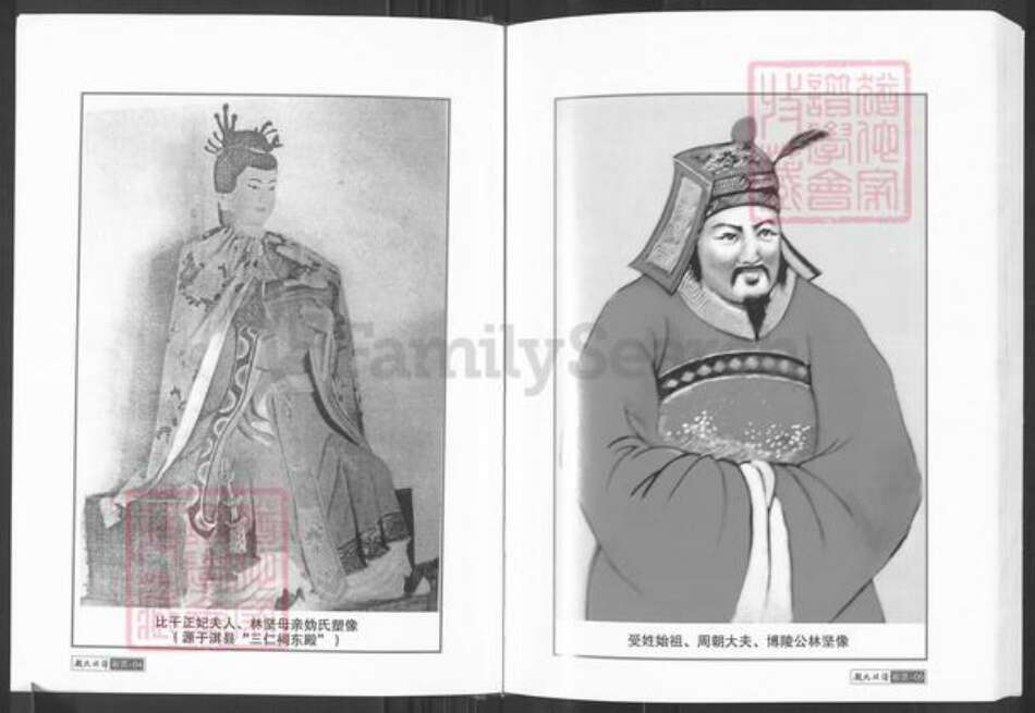 湖南省常德市临澧县安福街道林氏九牧堂族谱-林氏族谱.pdf电子版预览图5