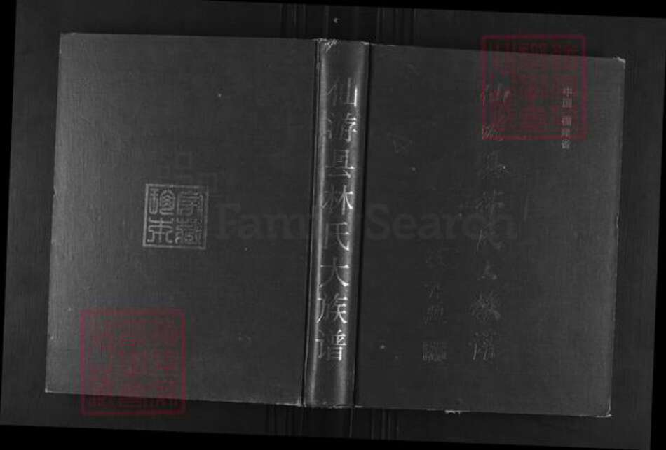 福建省莆田市仙游县赖店镇林氏忠孝堂族谱-仙游县林氏大族谱.pdf电子版缩略图