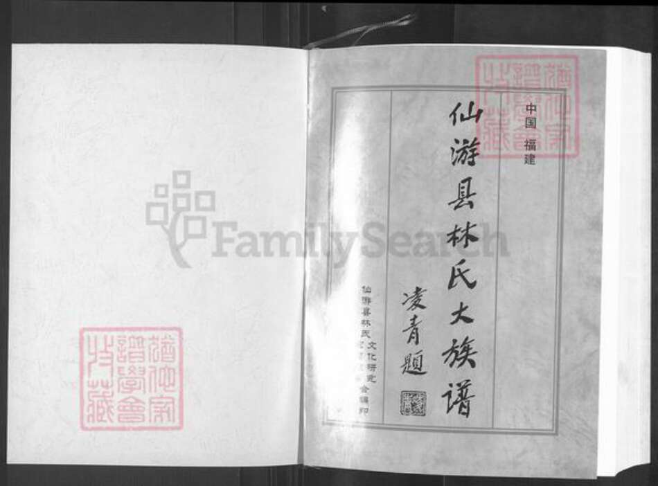 福建省莆田市仙游县赖店镇林氏忠孝堂族谱-仙游县林氏大族谱.pdf电子版预览图1