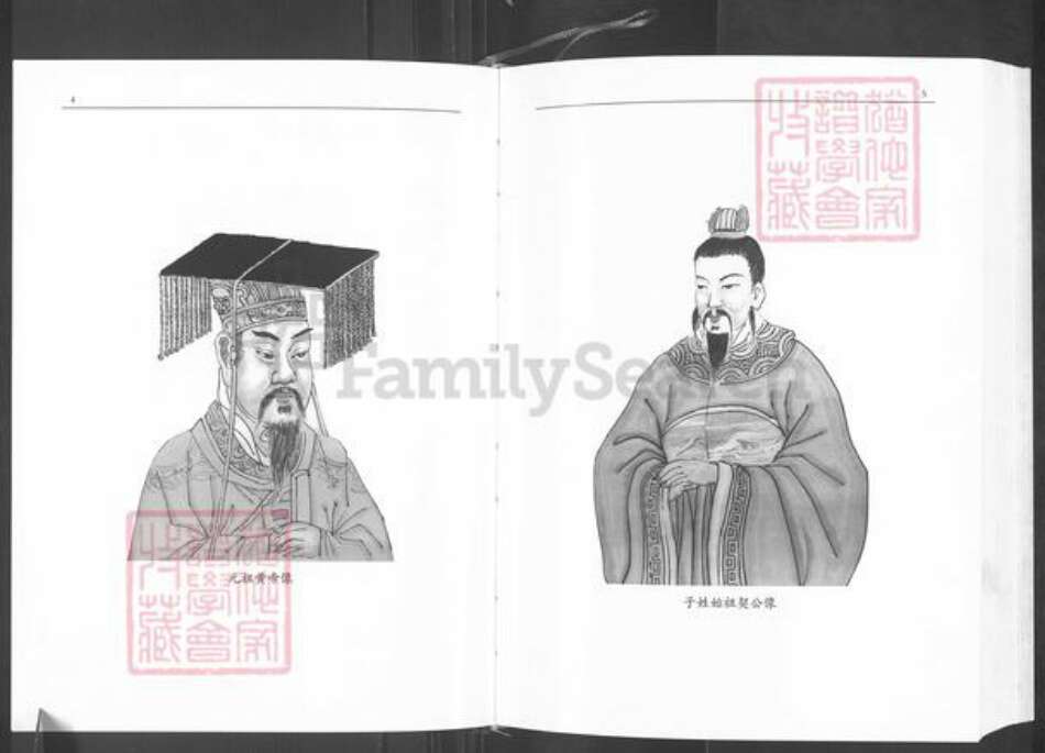 福建省莆田市仙游县赖店镇林氏忠孝堂族谱-仙游县林氏大族谱.pdf电子版预览图3