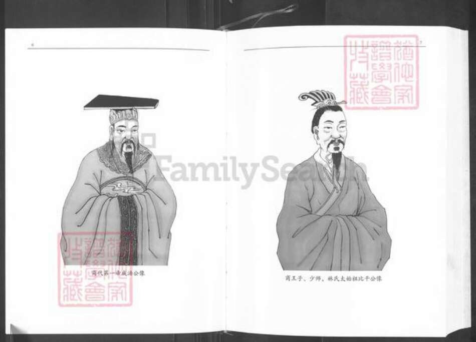 福建省莆田市仙游县赖店镇林氏忠孝堂族谱-仙游县林氏大族谱.pdf电子版预览图4