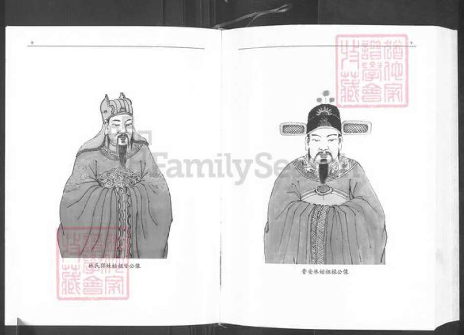 福建省莆田市仙游县赖店镇林氏忠孝堂族谱-仙游县林氏大族谱.pdf电子版预览图5