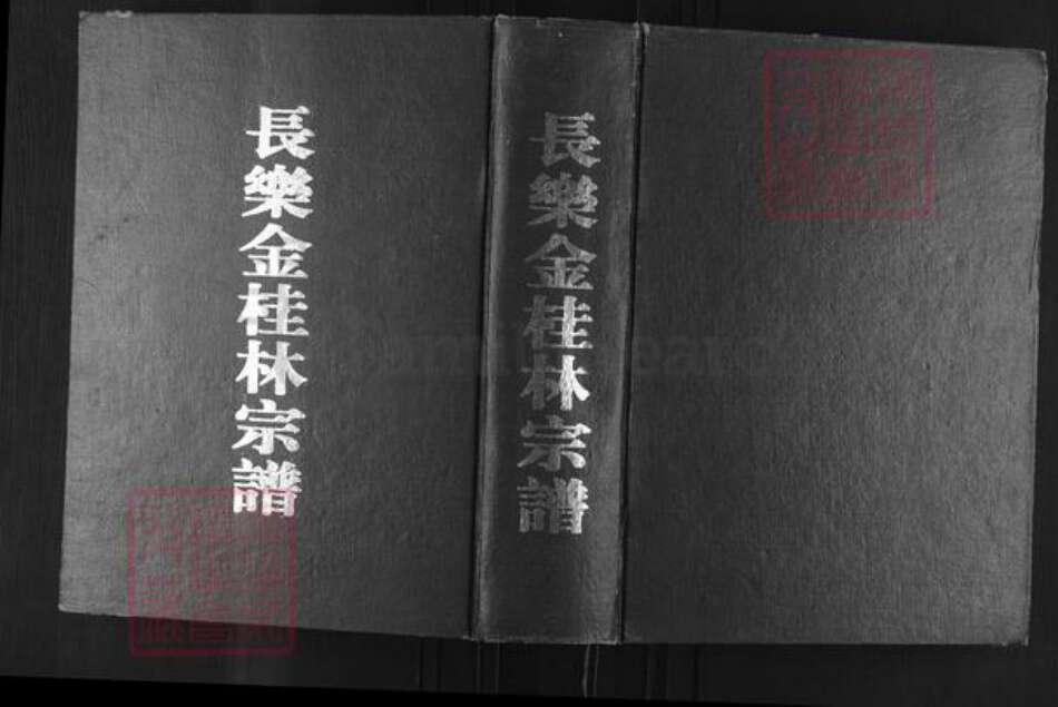 福建省福州市长乐区林氏思德堂族谱-长乐金桂林宗谱.pdf电子版缩略图