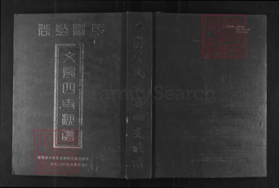 福建省福州市闽侯县尚干镇林氏族谱-尚干林氏文房四支族谱.pdf电子版缩略图