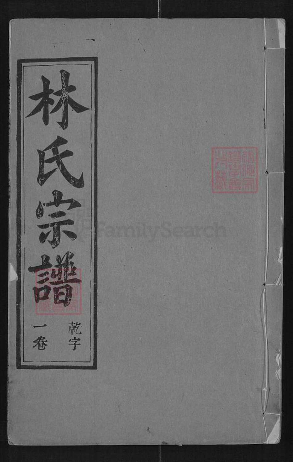 湖北省黄冈市团风县杜皮乡林氏培本堂族谱-林氏宗谱.pdf电子版缩略图