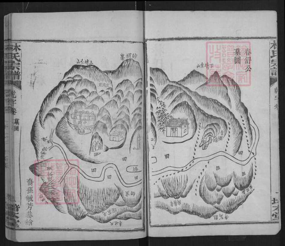 湖北省黄冈市团风县杜皮乡林氏培本堂族谱-林氏宗谱.pdf电子版预览图2