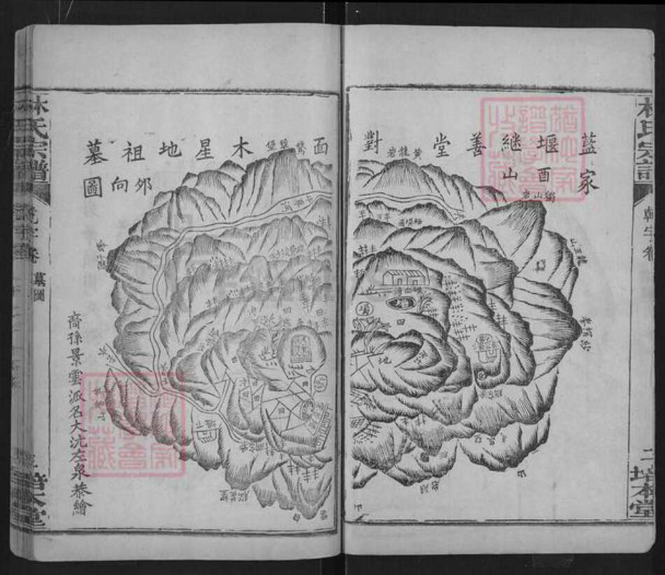 湖北省黄冈市团风县杜皮乡林氏培本堂族谱-林氏宗谱.pdf电子版预览图3