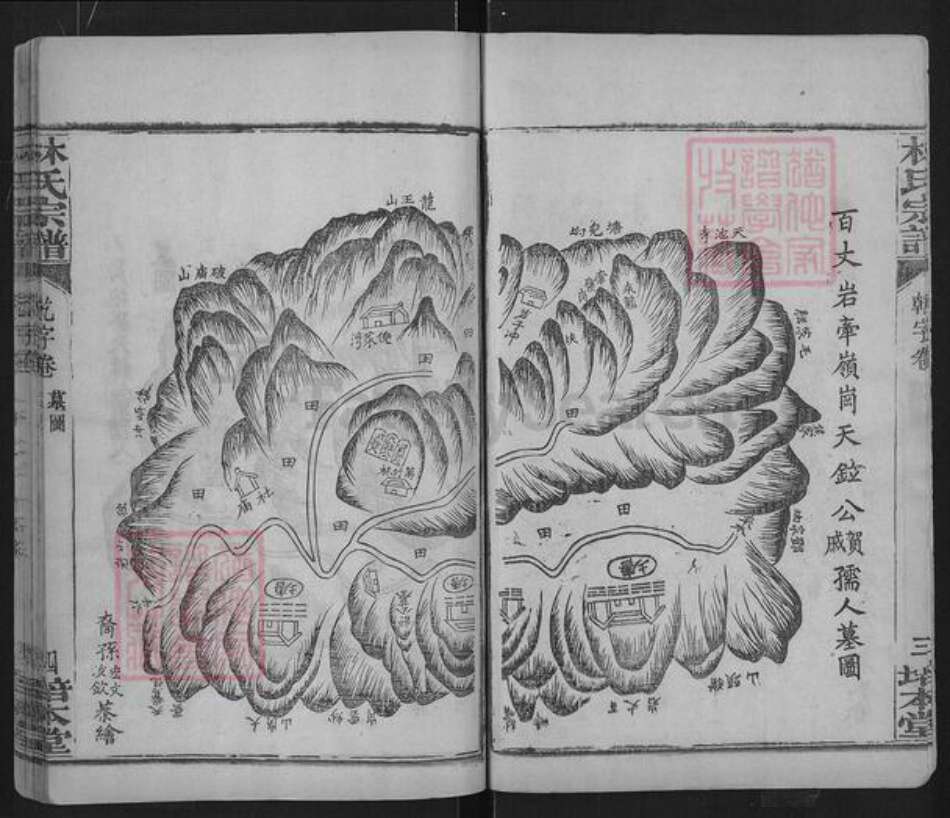 湖北省黄冈市团风县杜皮乡林氏培本堂族谱-林氏宗谱.pdf电子版预览图4