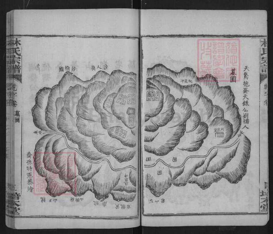 湖北省黄冈市团风县杜皮乡林氏培本堂族谱-林氏宗谱.pdf电子版预览图5