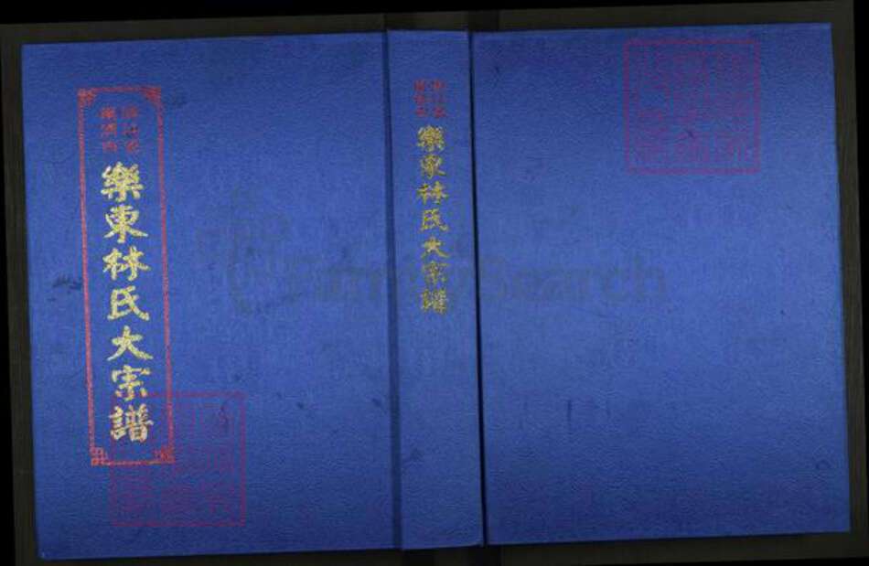 浙江省温州市乐清市林氏族谱-乐东林氏大宗谱.pdf电子版缩略图