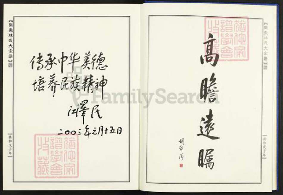 浙江省温州市乐清市林氏族谱-乐东林氏大宗谱.pdf电子版预览图5