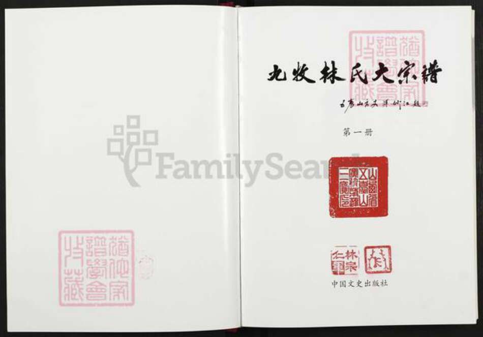 福建省莆田市荔城区林氏族谱-九牧林氏大宗谱.pdf电子版预览图1