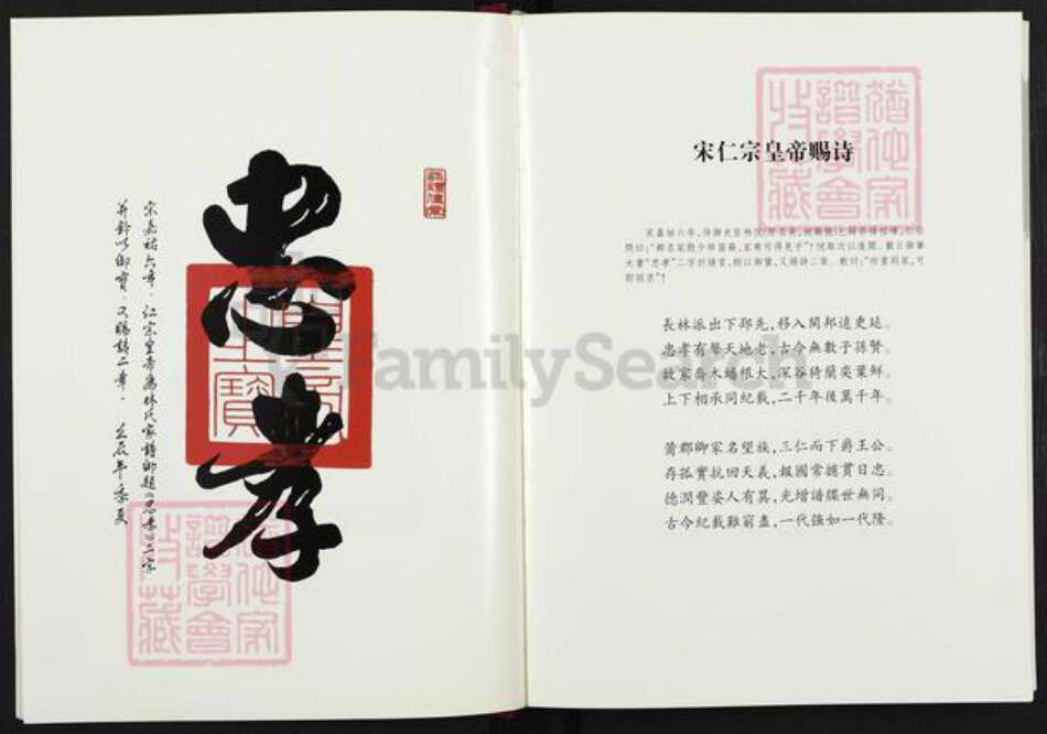 福建省莆田市荔城区林氏族谱-九牧林氏大宗谱.pdf电子版预览图3