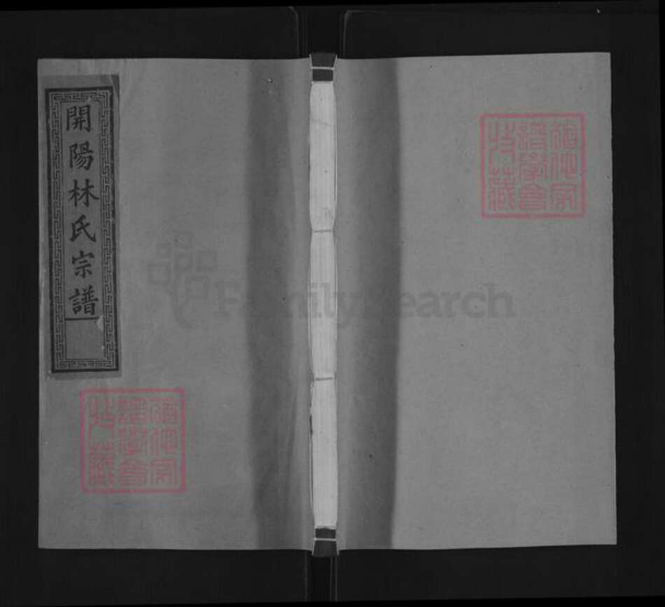 浙江省衢州开化县林氏拾德堂族谱-开阳林氏宗谱.pdf电子版缩略图