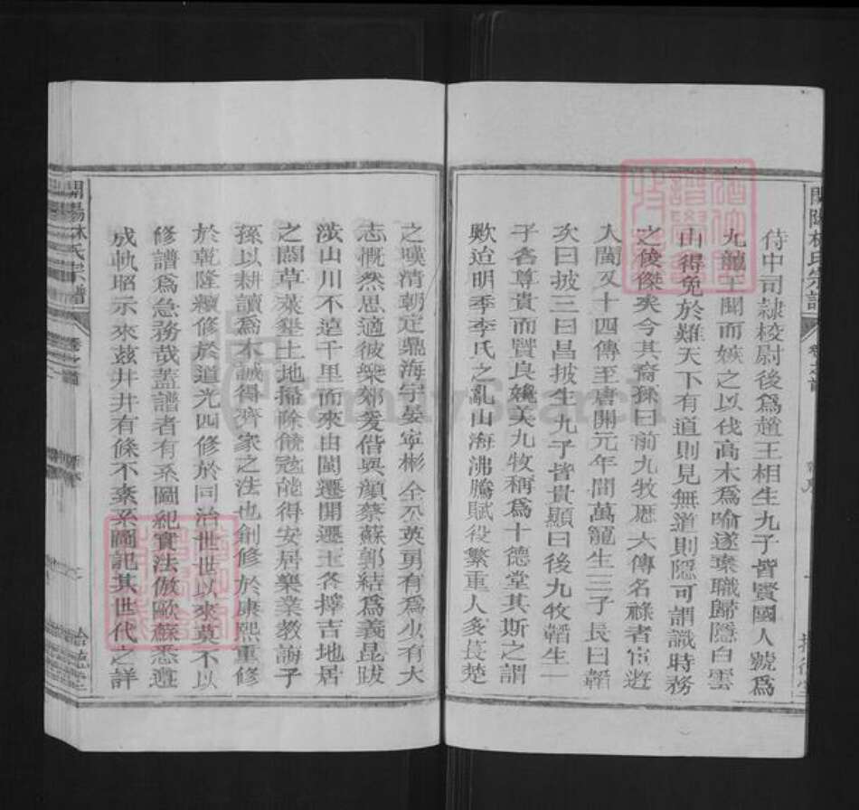 浙江省衢州开化县林氏拾德堂族谱-开阳林氏宗谱.pdf电子版预览图2