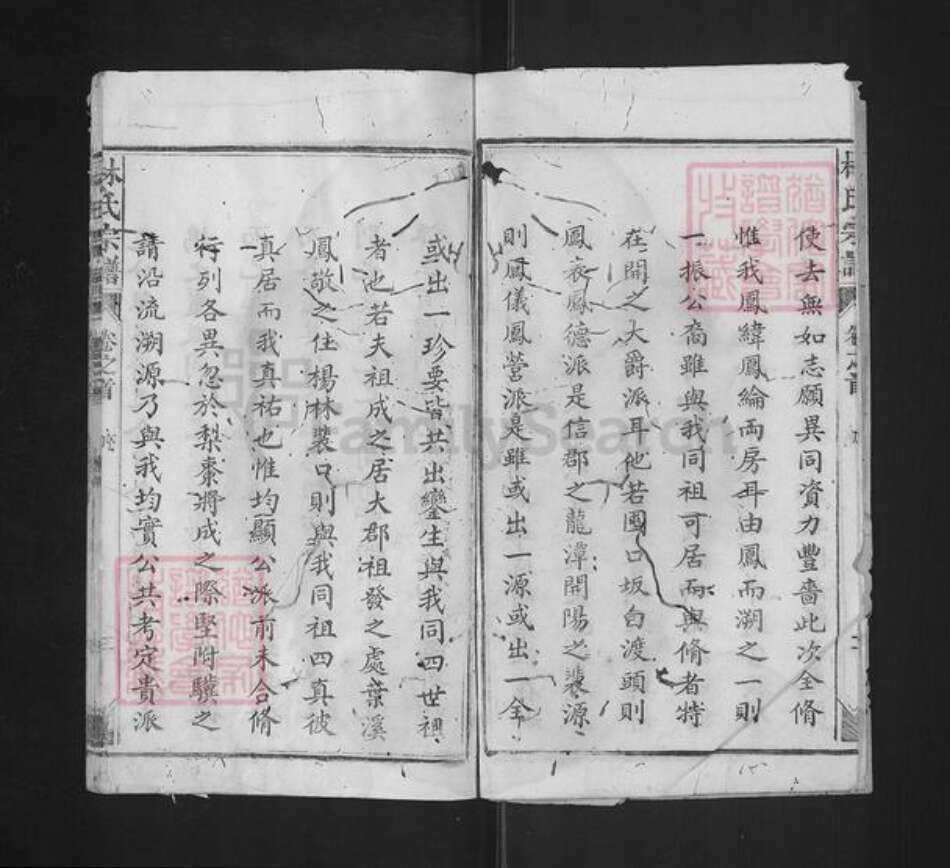 福建省泉州市永春县石鼓镇林氏九牧堂族谱-林氏宗谱.pdf电子版预览图3