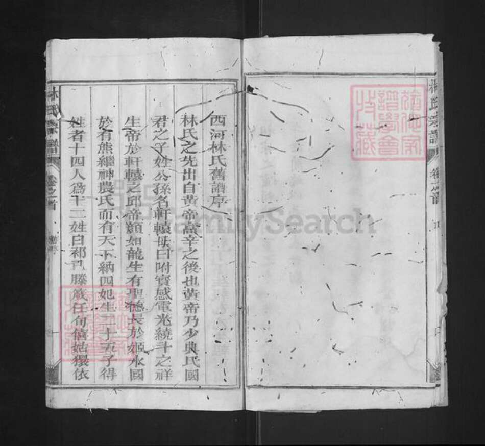 福建省泉州市永春县石鼓镇林氏九牧堂族谱-林氏宗谱.pdf电子版预览图5