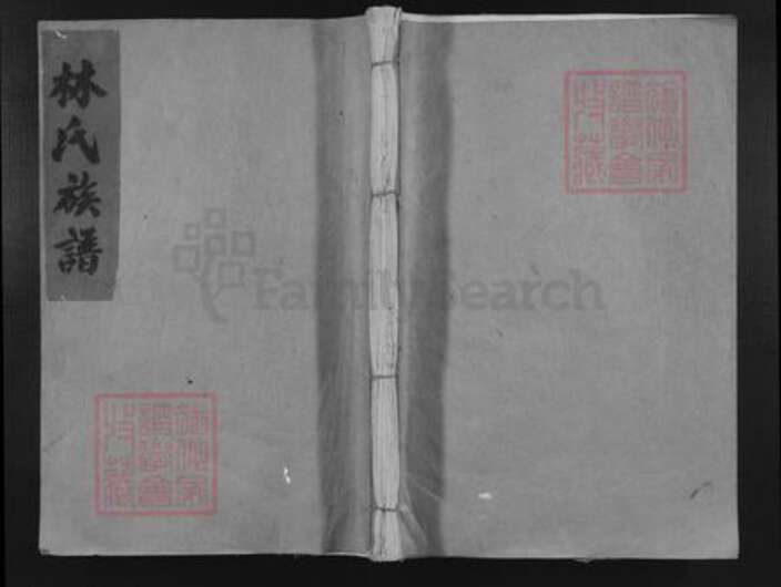 江西省赣州市会昌县白鹅乡林氏西河堂族谱-江西会昌白鹅梓坑白沙联修族谱.pdf电子版缩略图