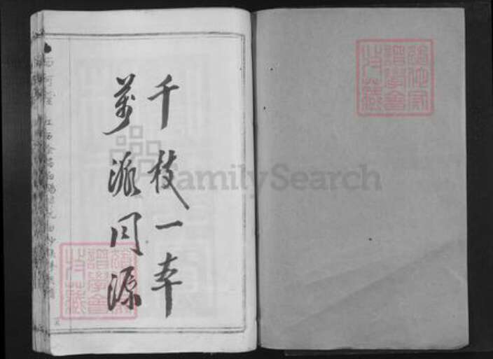 江西省赣州市会昌县白鹅乡林氏西河堂族谱-江西会昌白鹅梓坑白沙联修族谱.pdf电子版预览图1